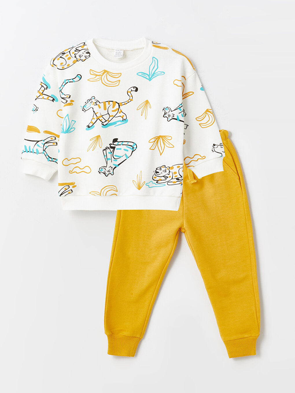 Crew Neck Long Sleeve Printed Baby Boy Sweatshirt and Sweatpants 2-Piece Set