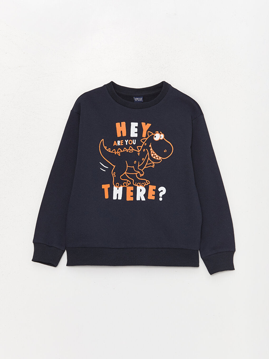 Crew Neck Printed Long Sleeve Boy's Sweatshirt