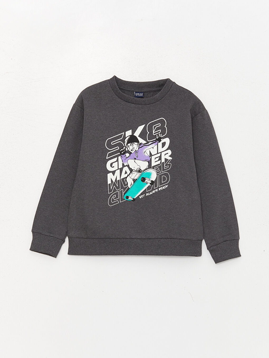 Crew Neck Printed Long Sleeve Boy's Sweatshirt