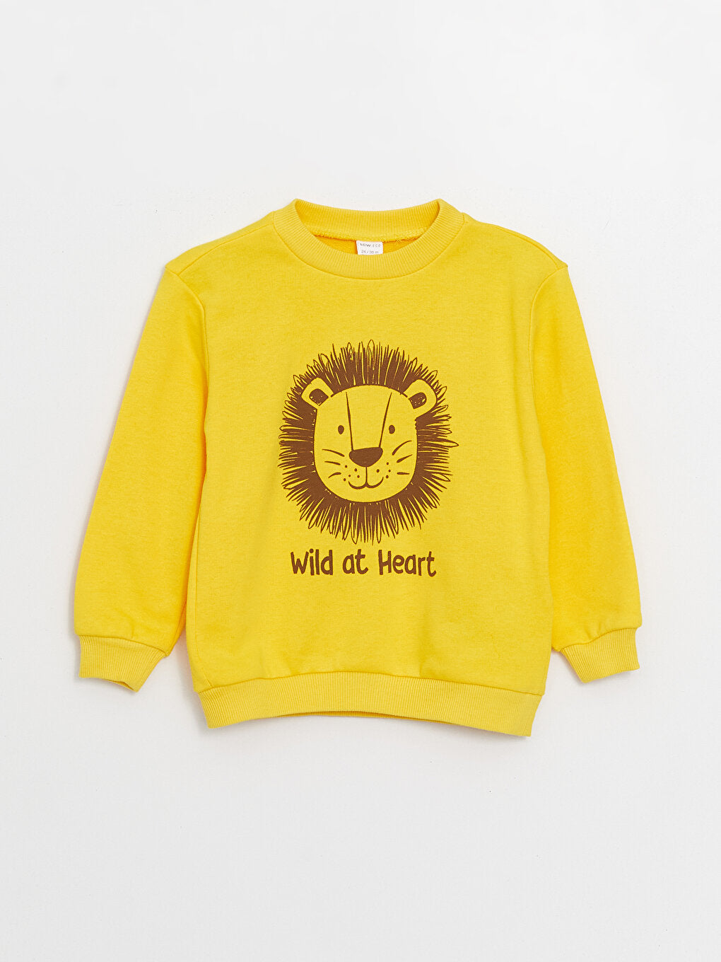 Crew Neck Printed Baby Boy Sweatshirt