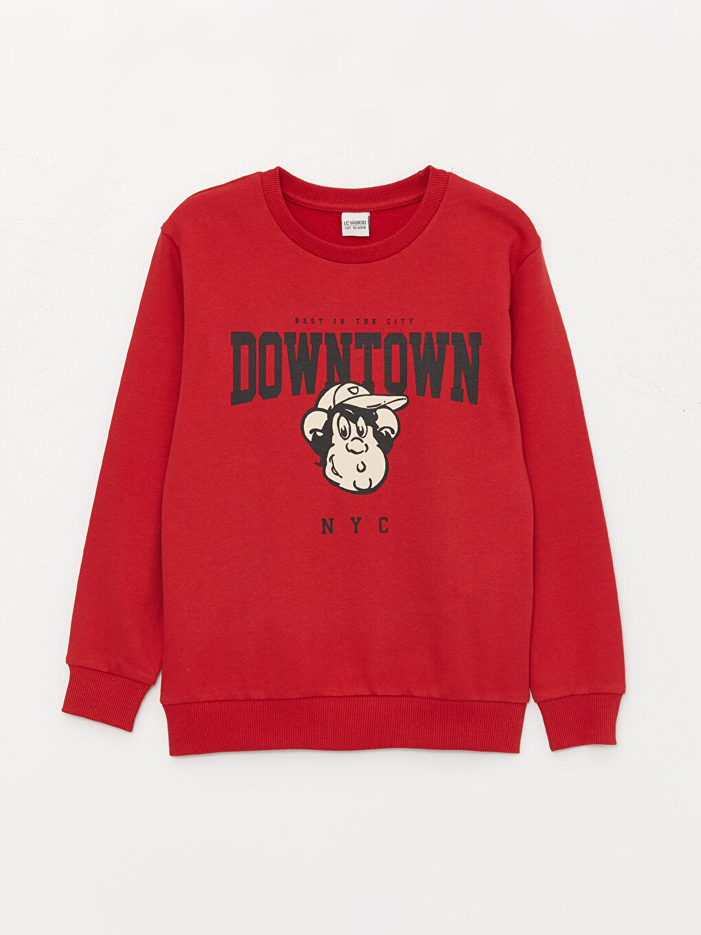 Crew Neck Nostalgic Monkey Printed Long Sleeve Boy's Sweatshirt