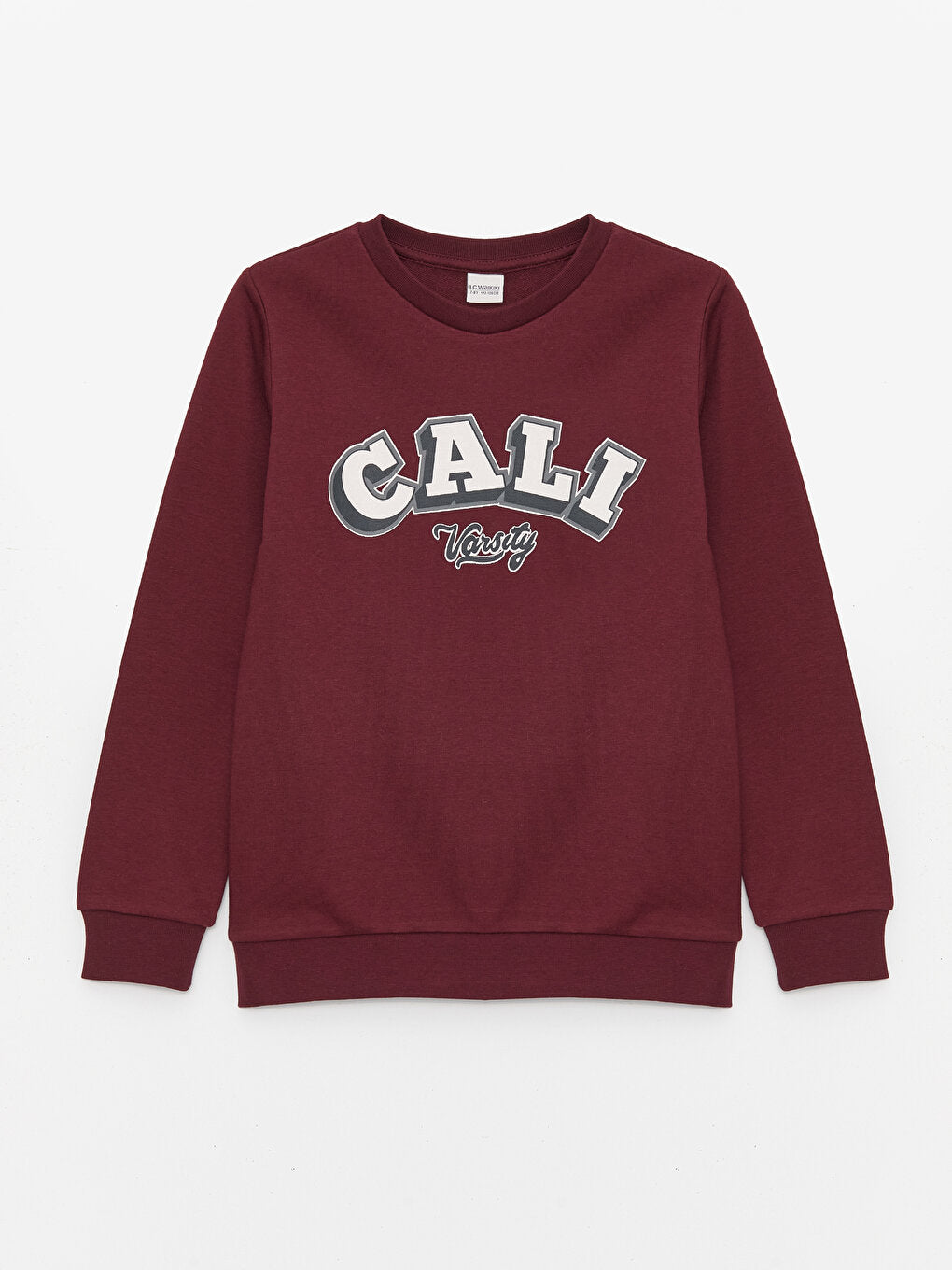 Crew Neck Printed Long Sleeve Boy's Sweatshirt