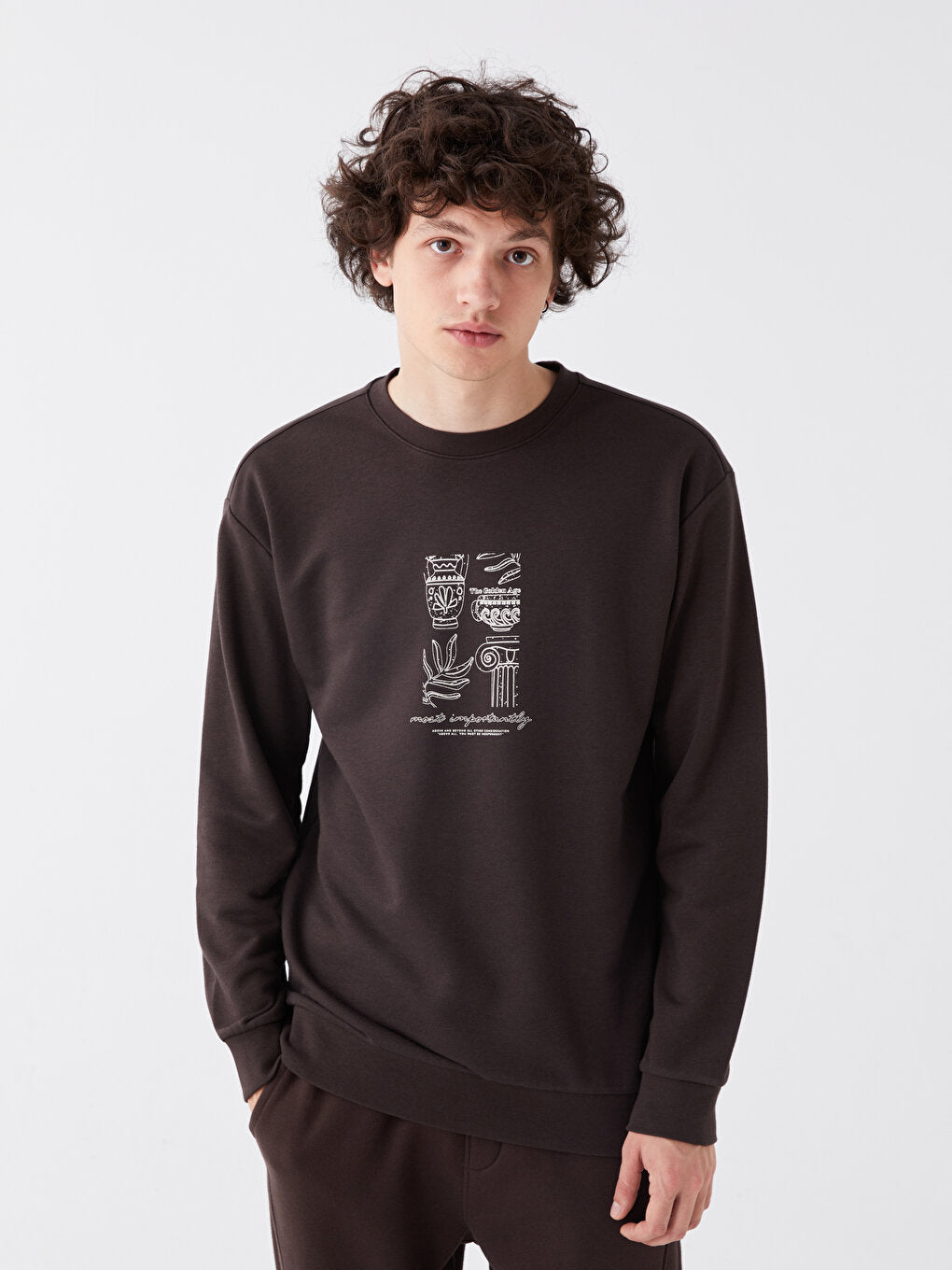 Crew Neck Long Sleeve Printed Men's Sweatshirt