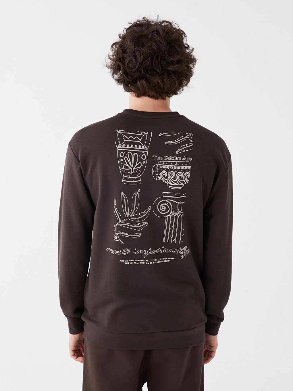 Crew Neck Long Sleeve Printed Men's Sweatshirt