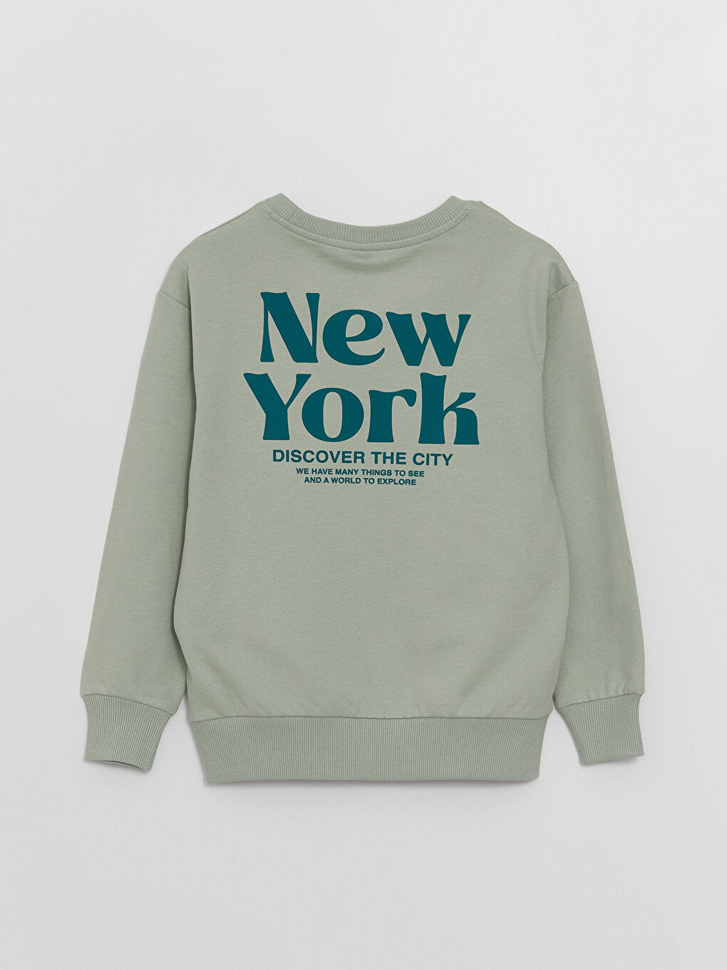 Comfortable Crew Neck Printed Boy's Sweatshirt