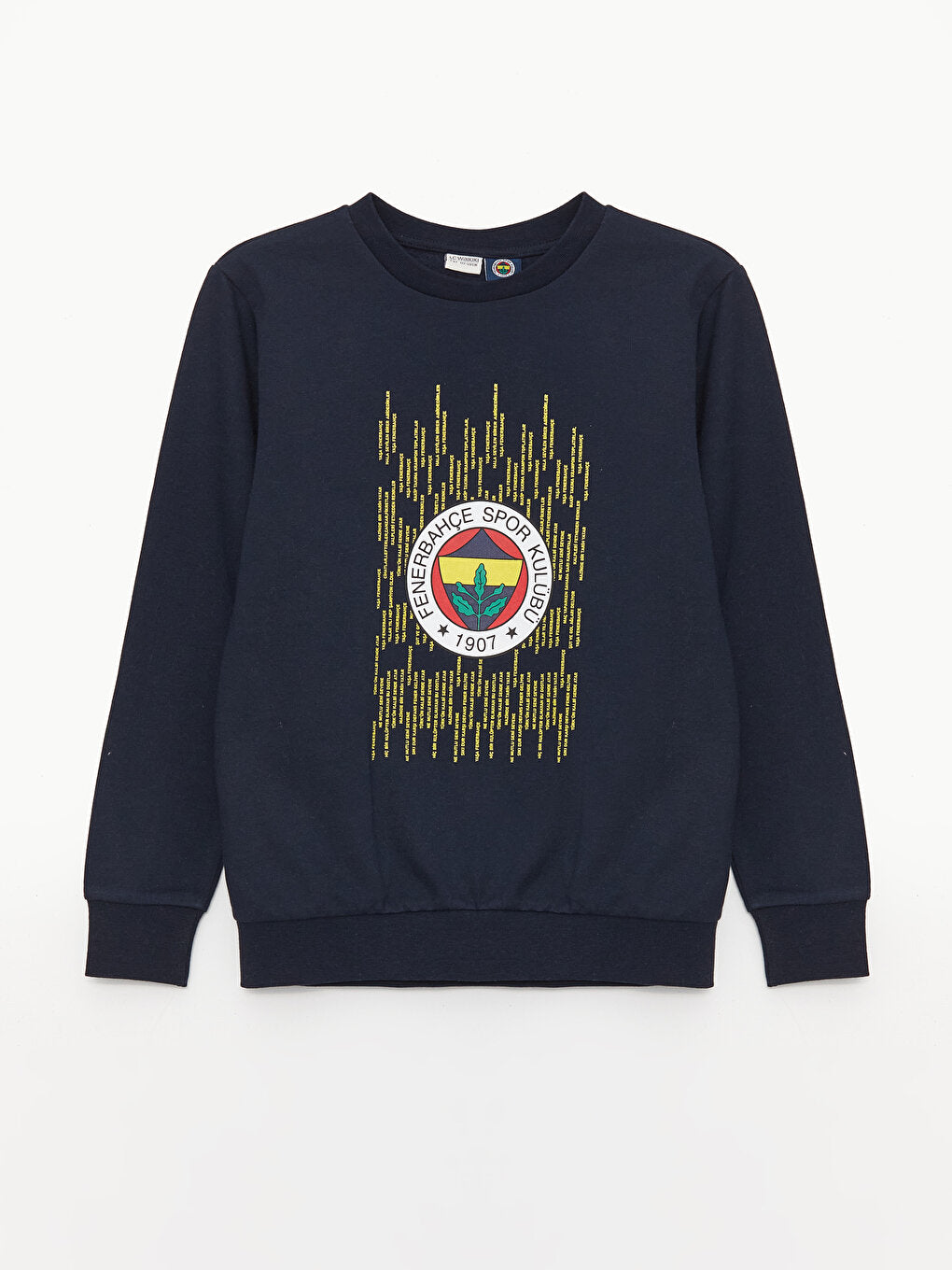 Crew Neck Fenerbahçe Printed Long Sleeve Boy's Sweatshirt