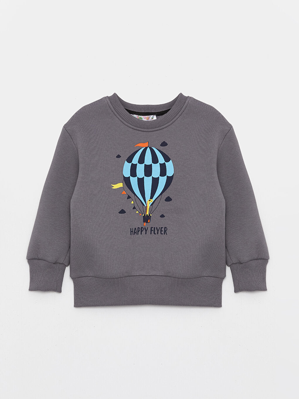 Crew Neck Long Sleeve Printed Baby Boy Sweatshirt