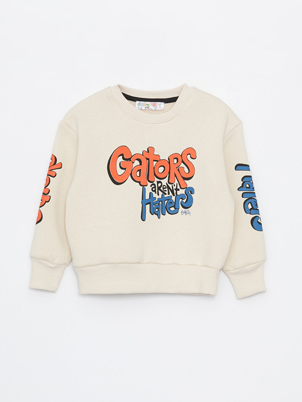 Crew Neck Printed Long Sleeve Baby Boy Sweatshirt