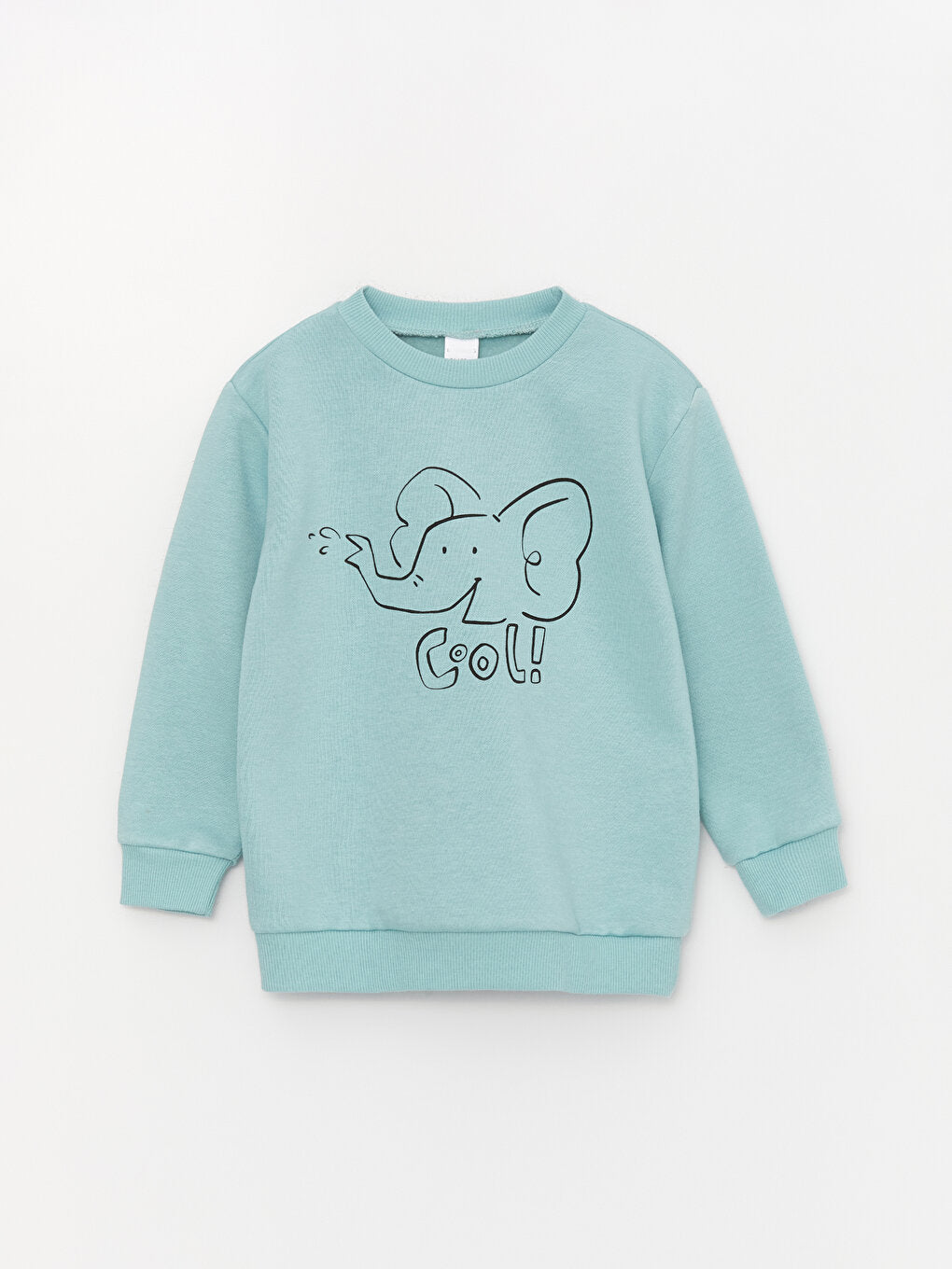 Crew Neck Long Sleeve Printed Baby Boy Sweatshirt