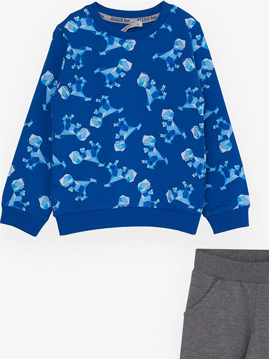 Crew Neck Long Sleeve Printed Baby Boy 2 Piece Set