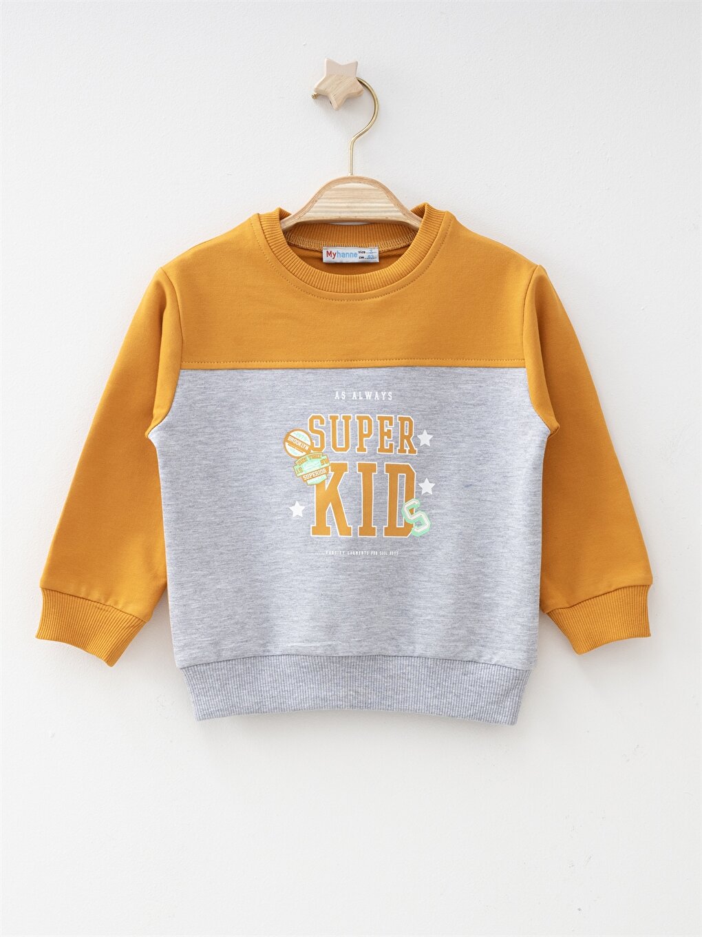 Crew Neck Long Sleeve Printed Baby Boy Sweatshirt