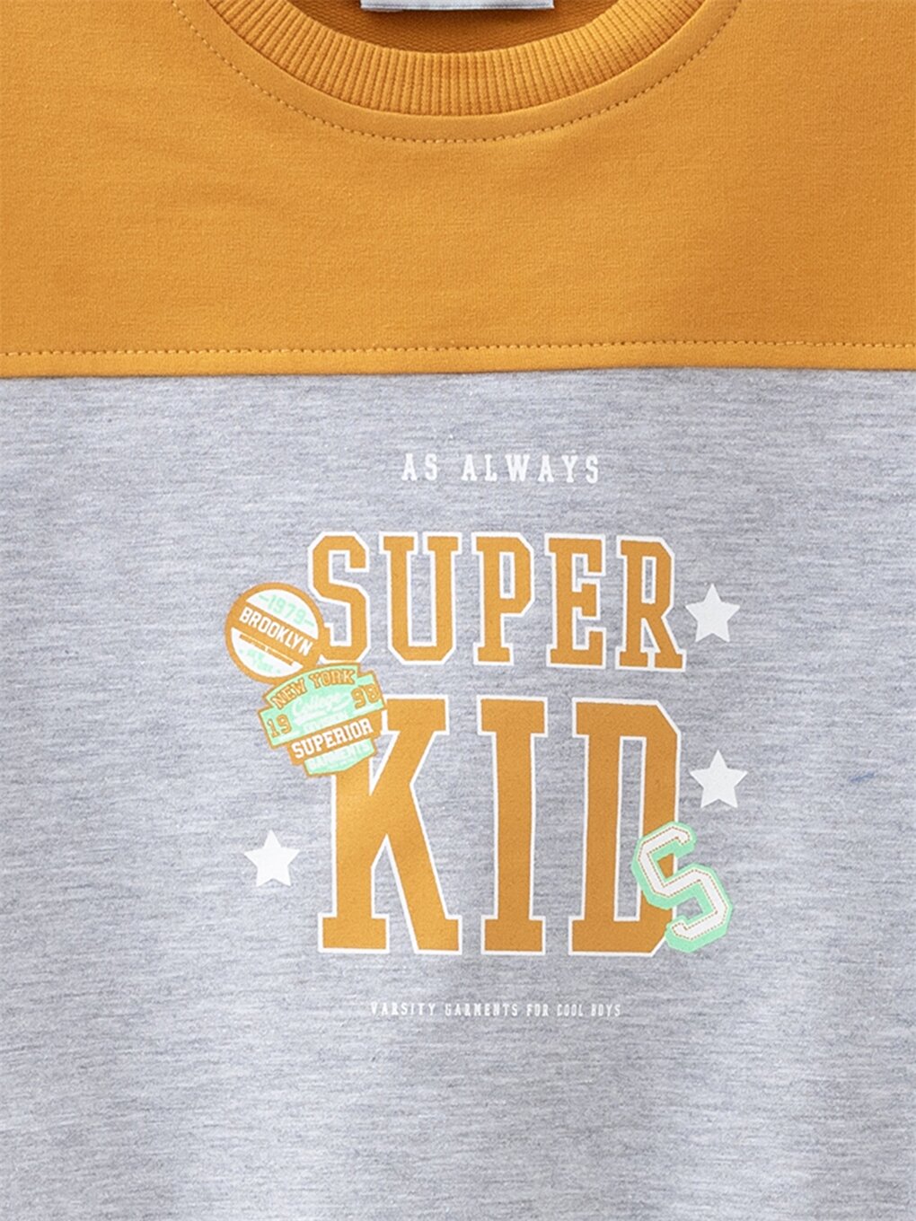 Crew Neck Long Sleeve Printed Baby Boy Sweatshirt