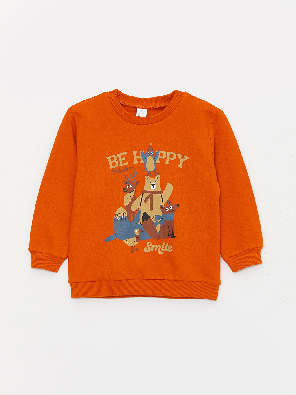 Crew Neck Long Sleeve Printed Baby Boy Sweatshirt 2-pack