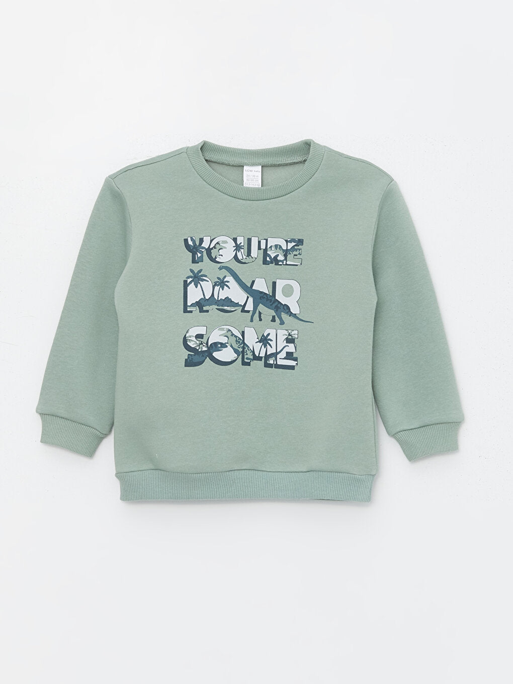 Crew Neck Long Sleeve Printed Baby Boy Sweatshirt 2-pack