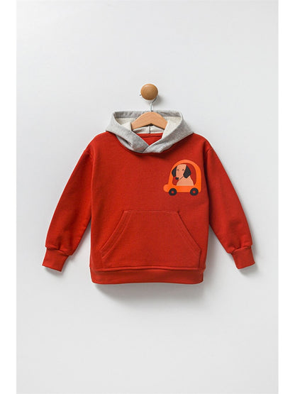 Printed Long Sleeve Baby Boy Hoodie