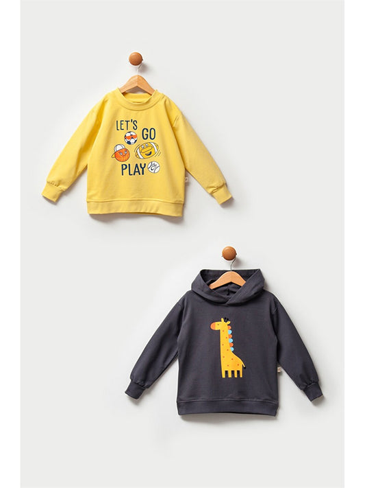 Long Sleeve Printed Baby Boy Sweatshirt 2-pack