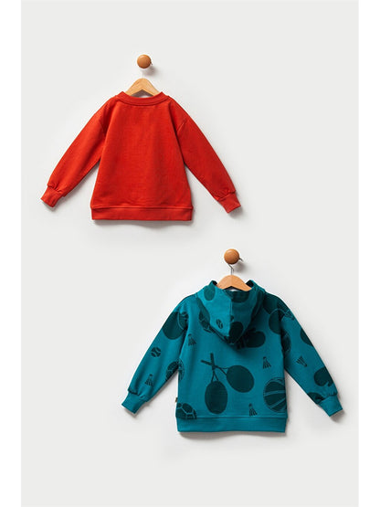 Long Sleeve Printed Baby Boy Sweatshirt 2-pack