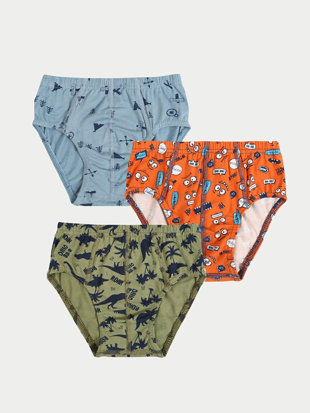 Printed Boy's Panties 3-Piece