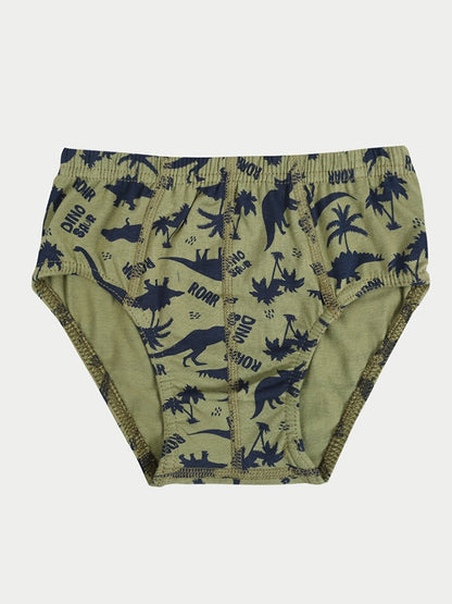 Printed Boy's Panties 3-Piece