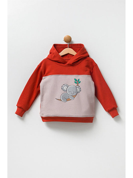 Long Sleeve Printed Baby Boy Hoodie