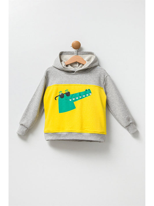 Long Sleeve Printed Baby Boy Hoodie