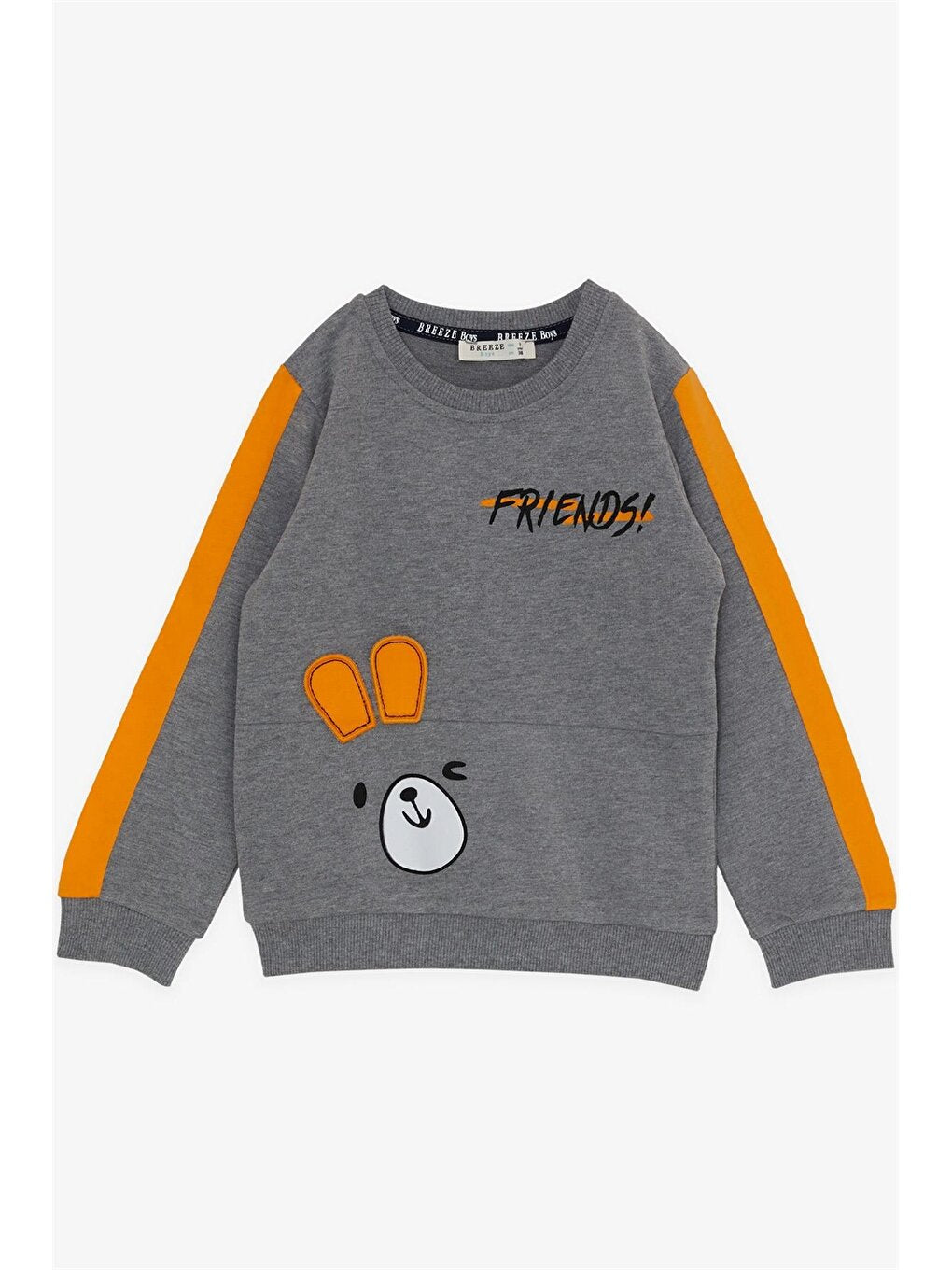 Crew Neck Printed Baby Boy Suit