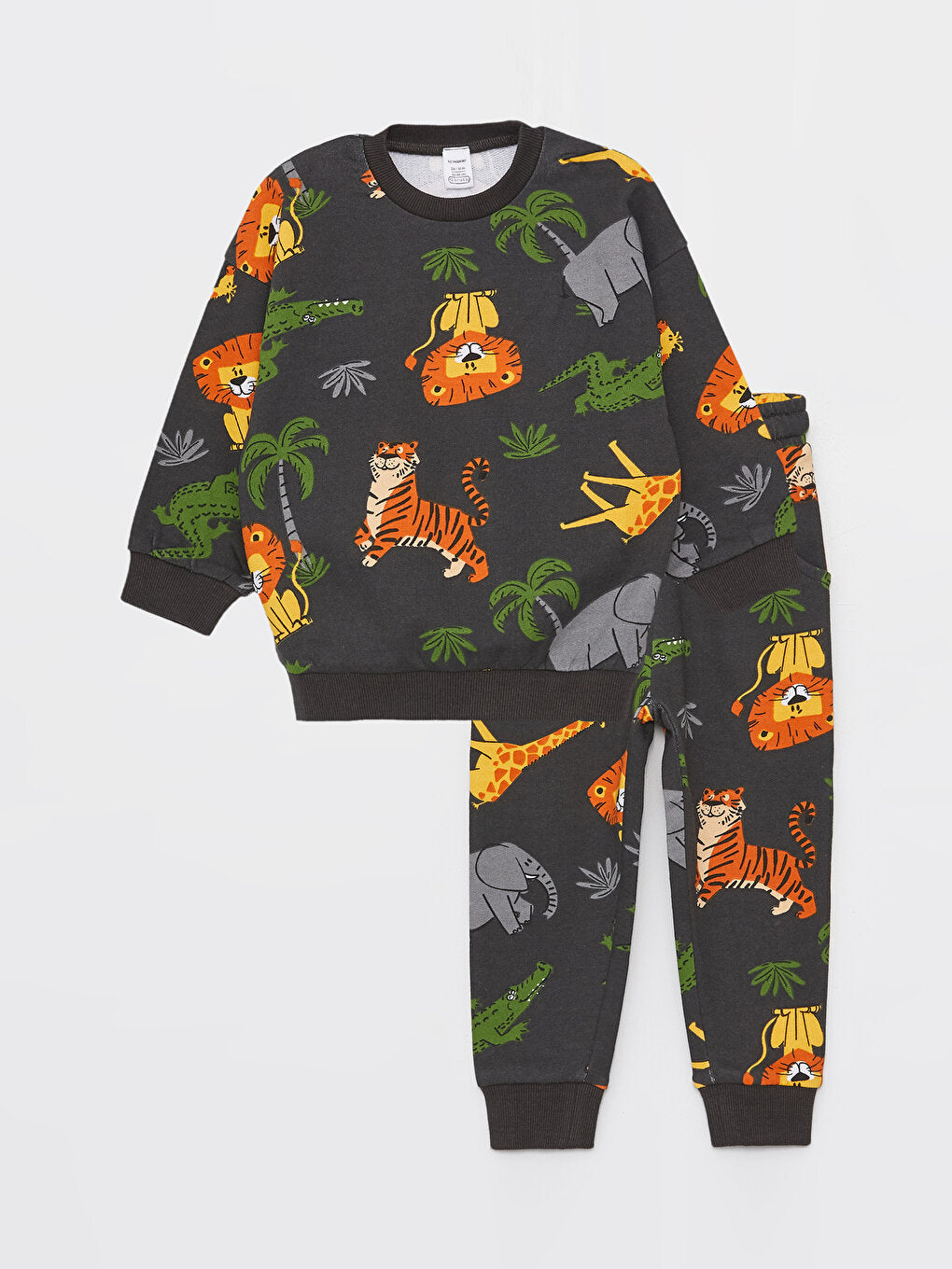 Crew Neck Long Sleeve Printed Baby Boy Sweatshirt and Sweatpants 2-Piece Set