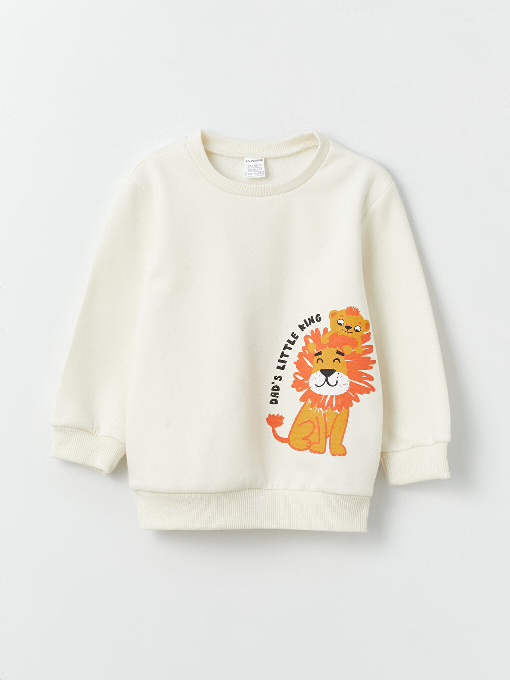 Crew Neck Long Sleeve Printed Baby Boy Sweatshirt