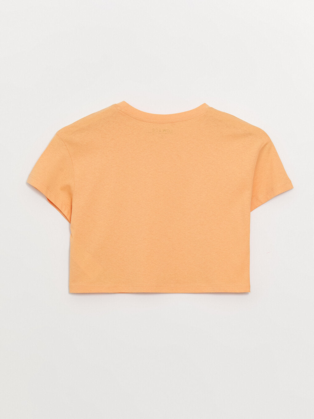 Crew Neck Plain Short Sleeve Women's Crop