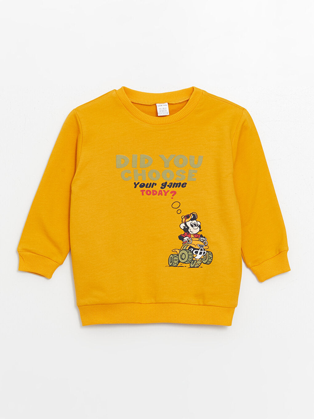 Crew Neck Long Sleeve Printed Baby Boy Sweatshirt